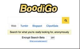 Boodigo site thumbnail
