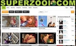 Superzooi site thumbnail
